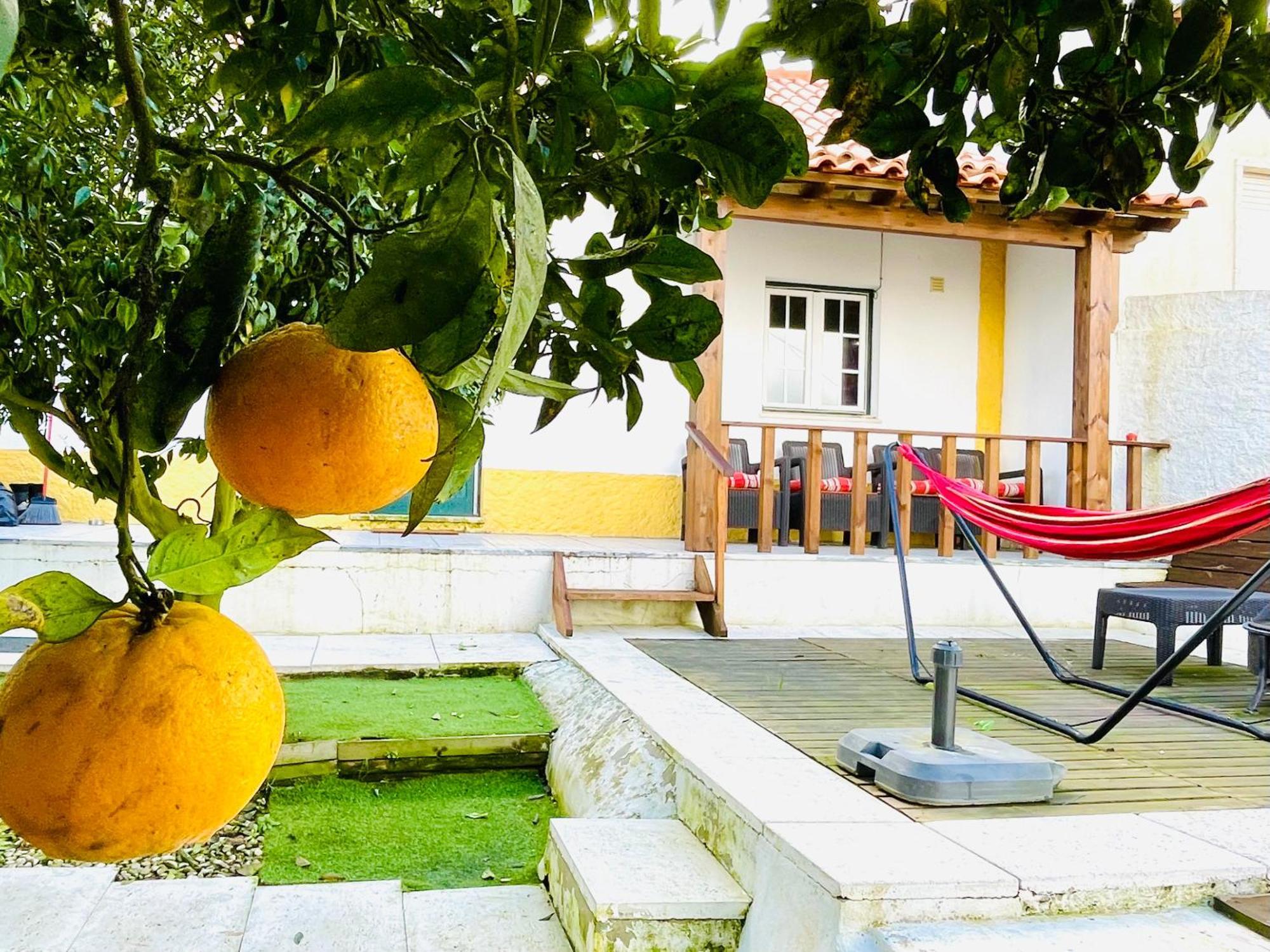 Casa Da Laranjeira Villa Vale Covo  Екстериор снимка